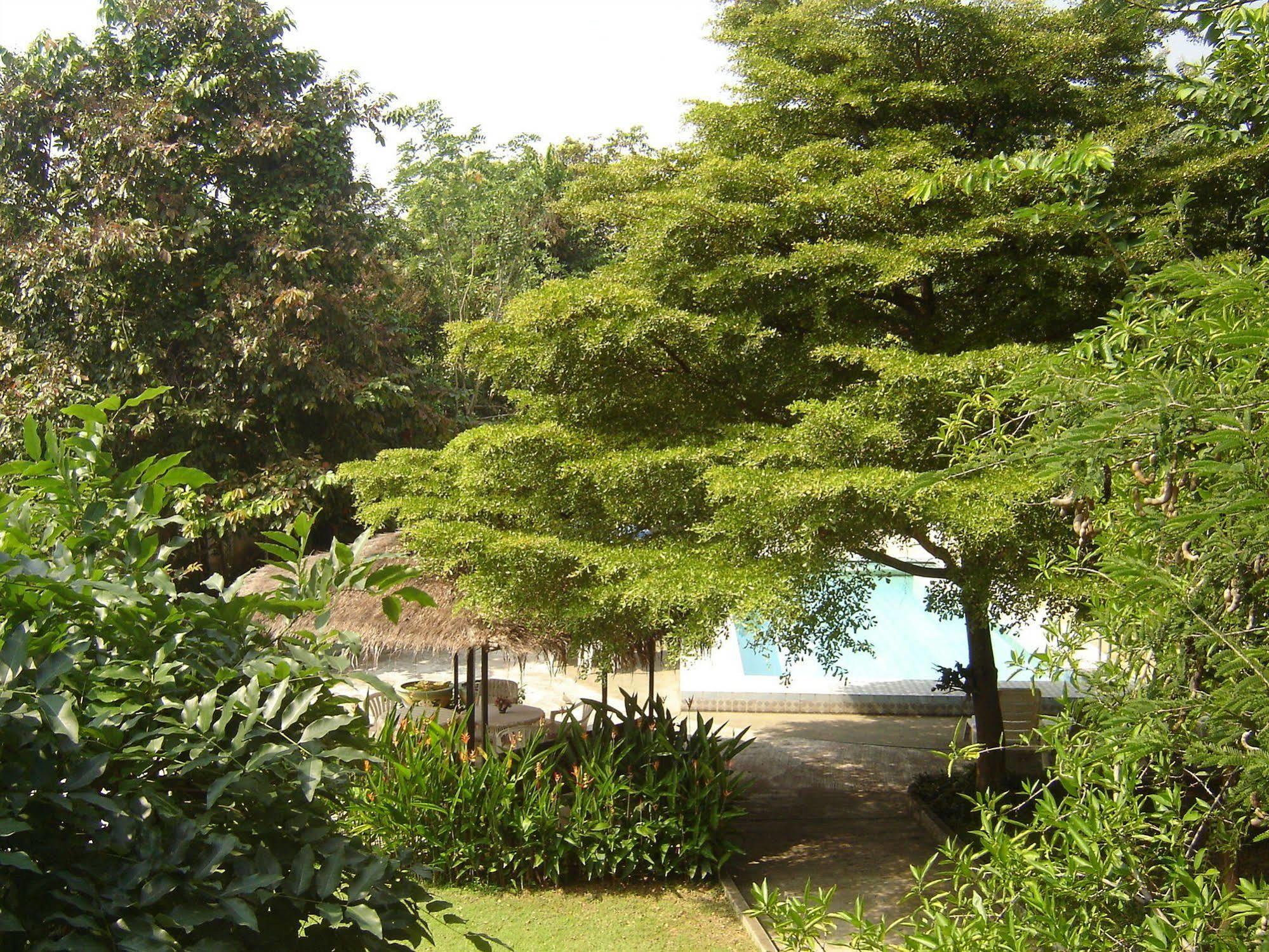 Golden Cupids Hotel Chiang Mai Bagian luar foto